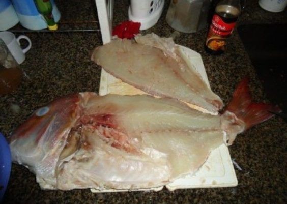 Como retirar espinhas de peixe