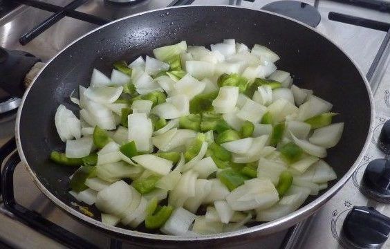 Efeitos do sal na cebola