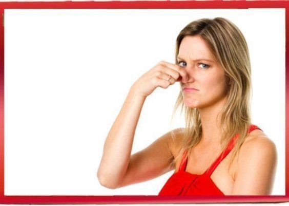 Como eliminar cheiro de peixe