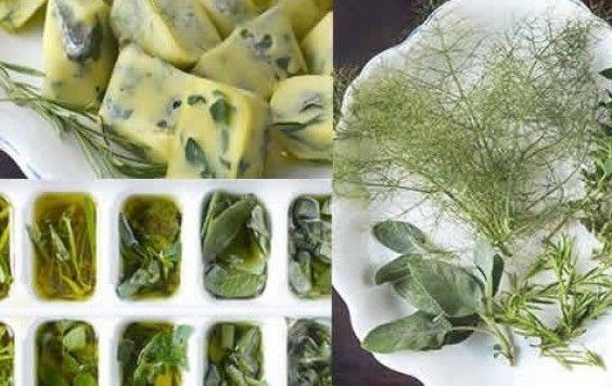 Formas para conservar ervas