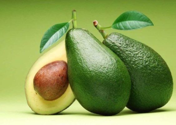 Abacates: frutas perfeitas para a sua fruteira