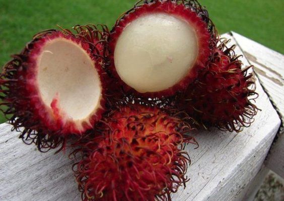 5 frutas exóticas que deveria experimentar