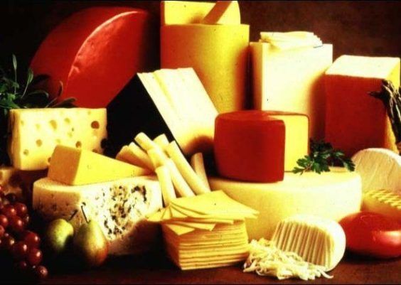 Usos variados de queijo: veja opções para seu uso