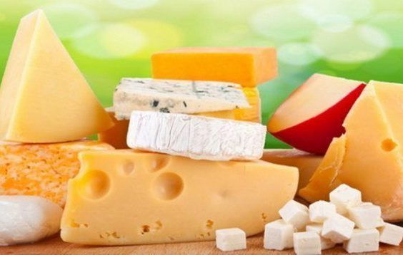 Benefícios do consumo de queijos