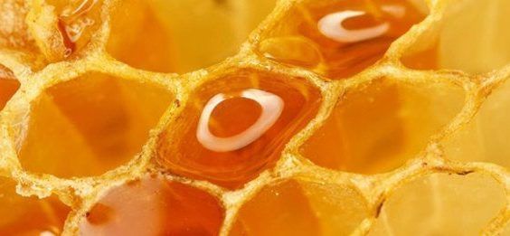 Variedades de mel natural