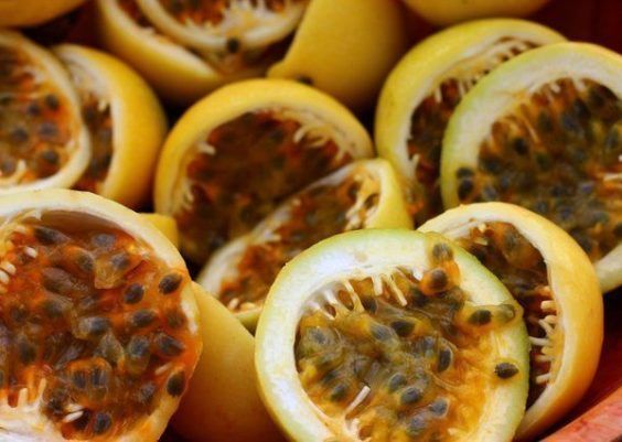 As frutas ideais para cada mês do ano