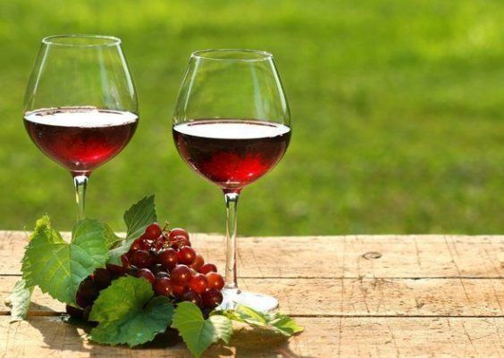 Saiba como escolher um vinho bom e barato