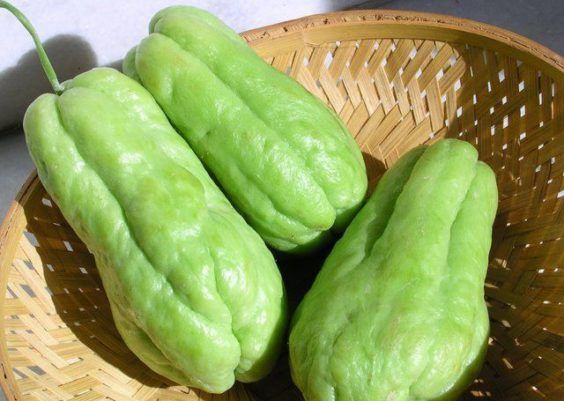 Perca o medo de vegetais polêmicos - jiló, quiabo e outros