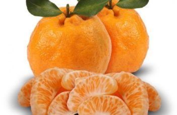 Funcionalidades da tangerina: conheça e aproveite