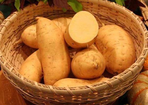 Importância da batata doce para saúde