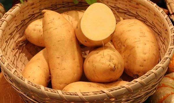 Importância da batata doce para saúde