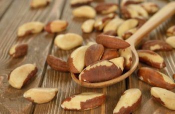 Castanha do Pára: poderosa semente para alimentação saudável