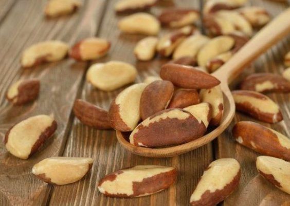 Castanha do Pára: poderosa semente para alimentação saudável