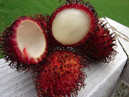 5 frutas exóticas que deveria experimentar