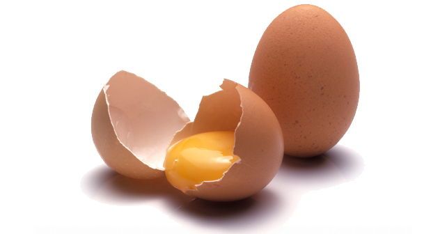 Melhores cuidados com os ovos